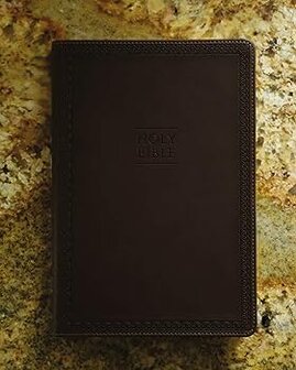 NIV - Value Thinline Bible Large Print Brown, Imitation Leather