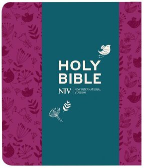  NIV - Journalling Plum Soft-tone Bible with Clasp - New International Version (Paperback)