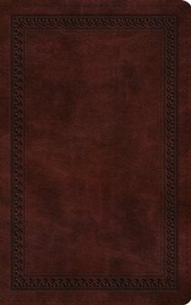  ESV Thinline Bible - Brown