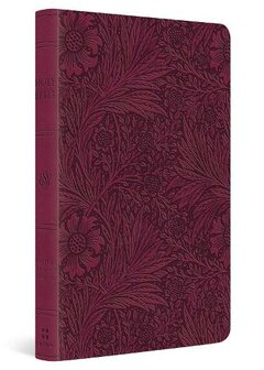 ESV Value Thinline Bible (Leather / fine binding)