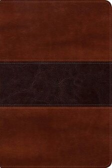  RVR 1960 Biblia del Pescador letra grande, caoba s&iacute;mil piel (Leather / fine binding)
