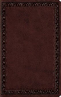 ESV - LP Value Thinline Bible  - Mahogany, Border Design    