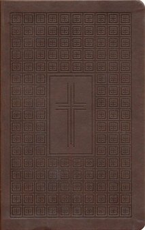 NLT Premium Value Thinline Bible, Filament-Enabled--soft leather-look, brown