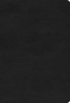 ESV - Large Print Compact Bible -RL - Black - Truetone