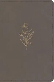 KJV - LP Compact Ref. Bible - Clay, Leathertouch