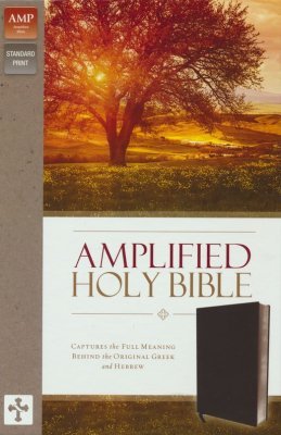 Black, Bonded Leather Amplified Bible