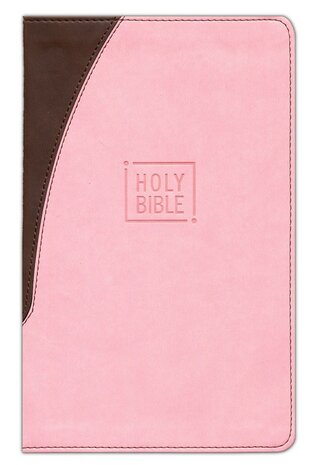 Pink/Brown, Leathersoft - NIV Premium Gift Bible - Index
