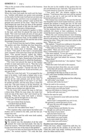 Colour -  Paperback  NLT - Outreach Bible