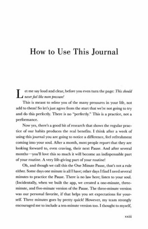 Eldredge, John  One minute pause journal