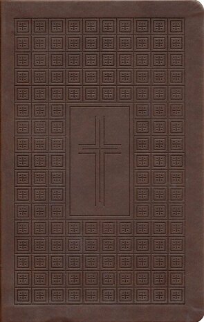 NLT Premium Value Thinline Bible, Filament-Enabled--soft leather-look, brown
