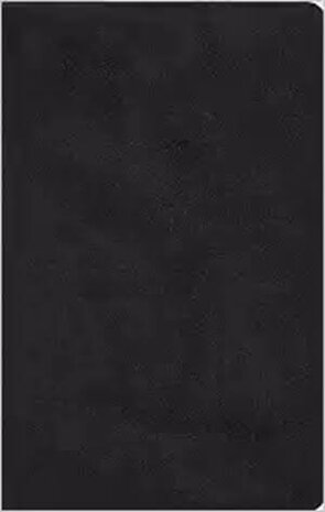 ESV LP Value Thinline Bible