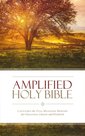 Amplified-holy-bible-multicolor-hardcover