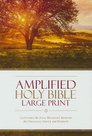 Amplified-large-print-holy-bible-multicolor-hardcover