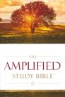 Amplified-study-bible-multicolor-hardcover