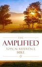 Amplified-topical-reference-bible-multicolor-hardcover