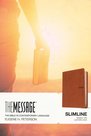 Message-slimline-bible-brown-leatherlook