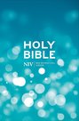 NIV-popular-bible-blue-hardcover