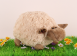 Plush-lamb-curly-soft-25cm