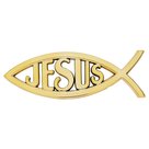 Auto-embleem-goud-ichtus-Jesus-13cm