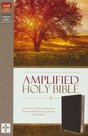 Amplified-Bible---Black-Bonded-Leather