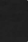 ESV-Large-Print-Compact-Bible--RL-Black-Truetone