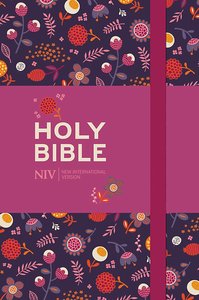 NIV compact notebook bible multicolor hardcover