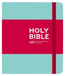 NIV journaling bible mint/polka hardcover