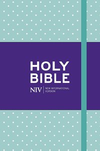 NIV notebook bible mint hardcover