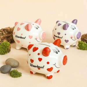 Spaarvarken klein waardevol