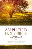 Amplified compact holy bible multicolor hardcover