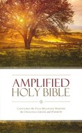 Amplified holy bible multicolor hardcover
