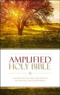 Amplified holy bible multicolor paperback