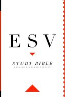 ESV study bible personal size multicolor hardcover