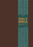 NIV compact bible clasp brown leatherlook