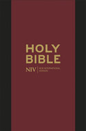 NIV compact bible zip black leather