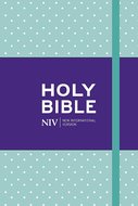 NIV notebook bible mint hardcover