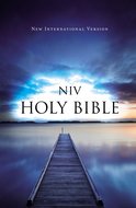 NIV outreach bible blue paperback