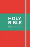 NIV thinline bible red leatherlook