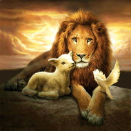 Diamond painting lion & the lamb 40x40cm quare drill