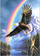 Diamond painting eagle - rainbow 40x50cm square drill