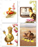 Cards birthday (4) happy ducky