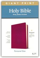 NLT Giant print bible personal ed.Red imit. Leather