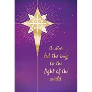 Doos kerstkaarten (18) Star Light of the world