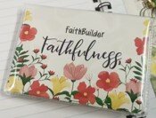 Faithbuilder Faithfulness Series        