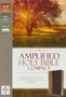 Amplified-compact-holy-bible-tan-burgundy-leatherlook