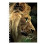 Journal-wirebound-lion-psalm-91:1