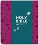 NIV-Journalling-Plum-Soft-tone-Bible-with-Clasp-New-International-Version-(Paperback)