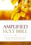 Amplified-Outreach-Bible-Paperback:-Capture-the-Full-Meaning-Behind-the-Original-Greek-and-Hebrew-(Paperback)