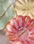 Armband-verguld-Love-&amp;-Faith