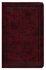 ESV gift bible burgundy leatherlook_